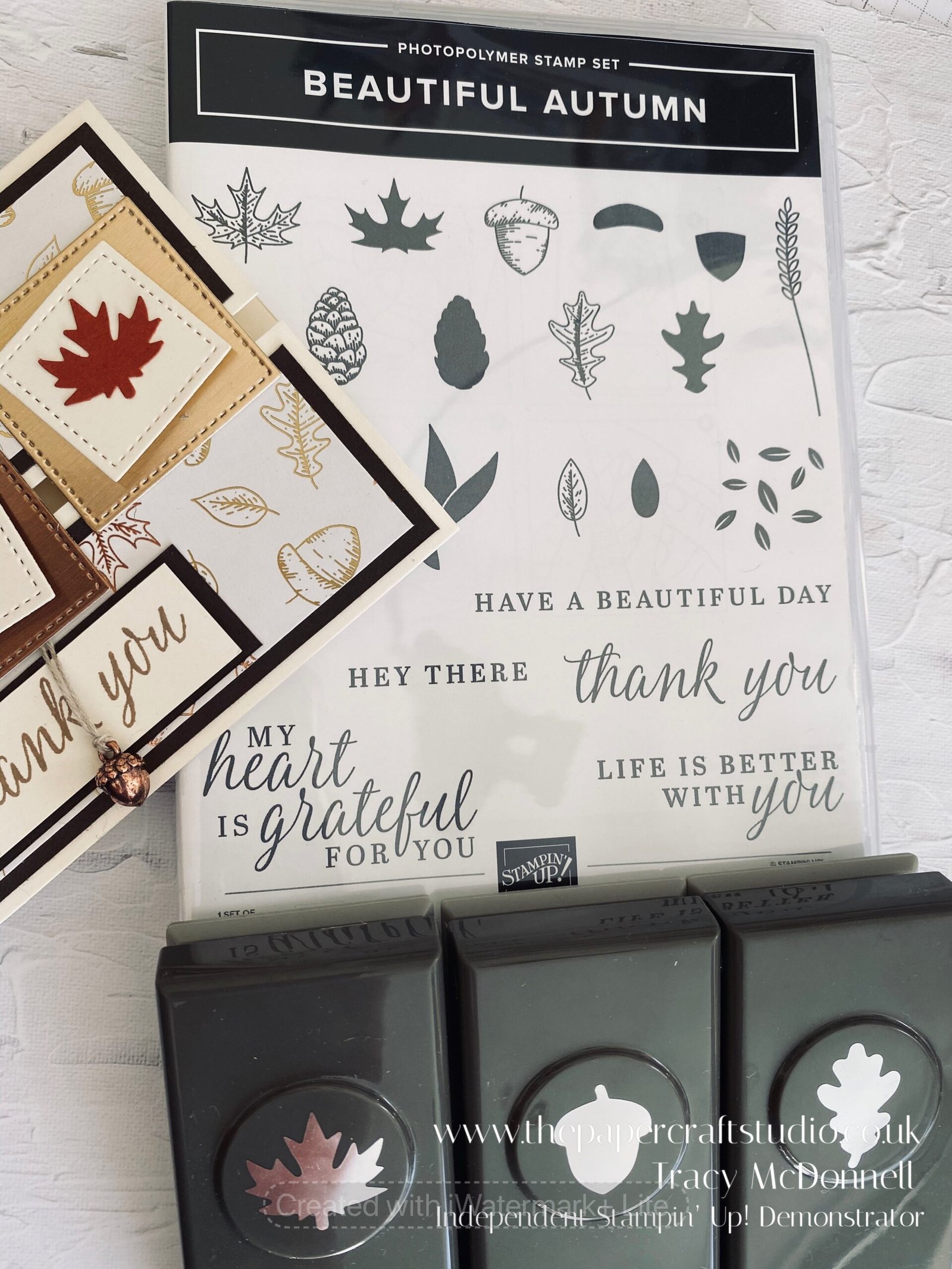 Gilded Autumn Thank You Card - The Papercraft Studio