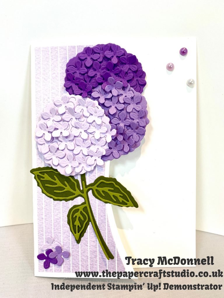 Fancy Fold Hydrangea Card - The Papercraft Studio