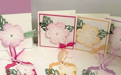Notecards & Tags Gift Set