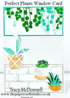 Perfect Plants Window Card